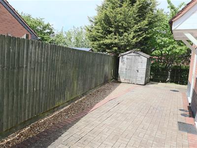 Picture 13